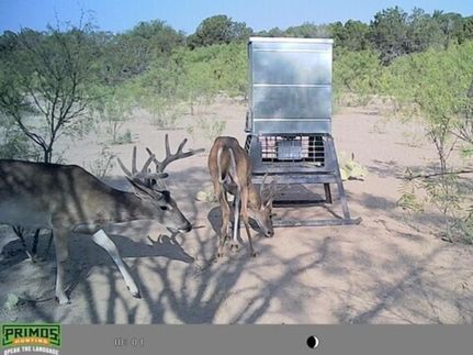 Farm and Ranch for sale in Crockett County, Texas