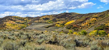 Farm and Ranch for sale in Routt County, Colorado