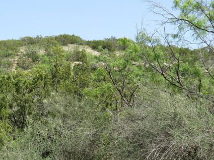 Farm and Ranch for sale in Coke County, Texas