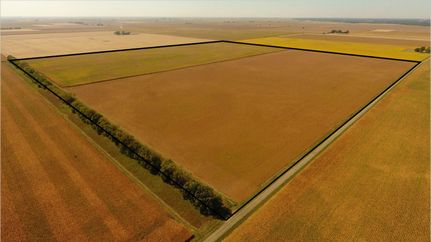Undeveloped Land for sale in DeWitt County, Illinois