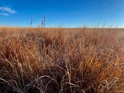 Timberland Property for sale in Hamilton County, Kansas