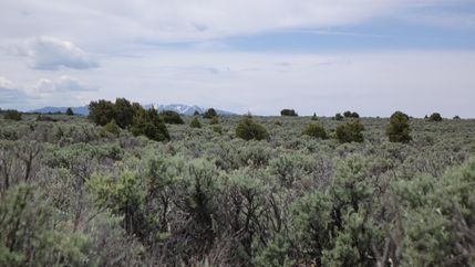 Timberland Property for sale in Costilla County, Colorado
