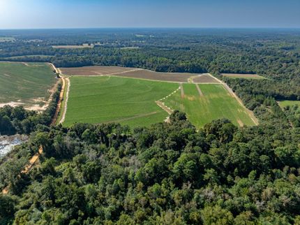 Farm and Ranch for sale in Colquitt County, Georgia