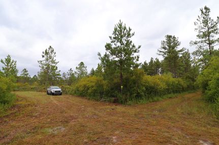Land for sale in Charlton County, Georgia