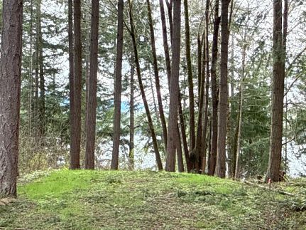 Commercial Property for sale in Thurston County, Washington