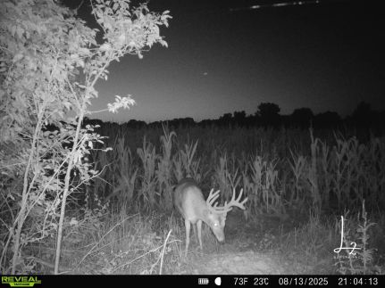 Undeveloped Land for sale in Osage County, Kansas