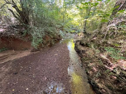 Land for sale in Claiborne Parish, Louisiana