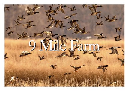 Farm and Ranch for sale in Lawrence County, Arkansas