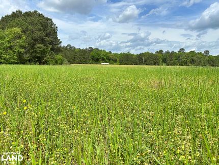 Recreational Property in Berkeley County, South Carolina