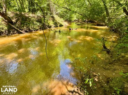 Recreational Property for sale in Dallas County, Alabama