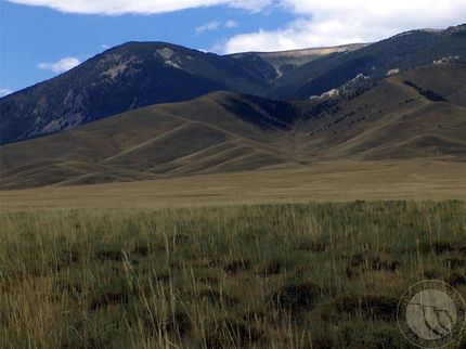 Farm and Ranch for sale in Carbon County, Montana