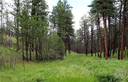 Timberland Property for sale in Musselshell County, Montana