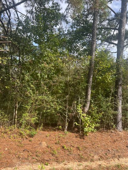 Recreational Property for sale in Wayne County, Mississippi