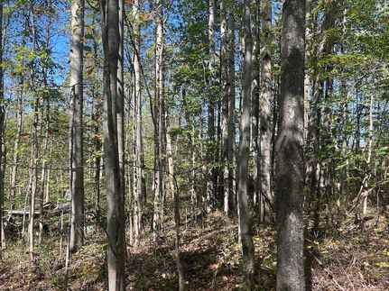Undeveloped Land for sale in Guernsey County, Ohio