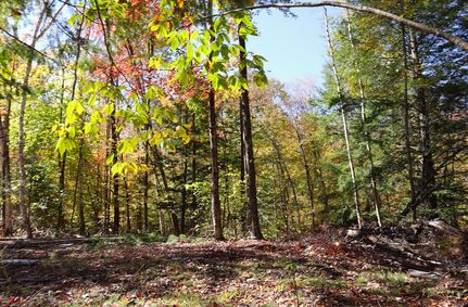 Timberland Property for sale in Warren County, New York