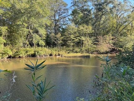Undeveloped Land for sale in Tallapoosa County, Alabama