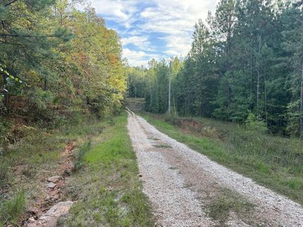 Undeveloped Land for sale in Coosa County, Alabama