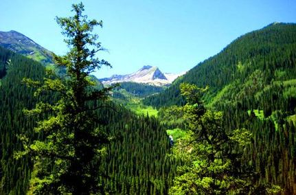 Farm and Ranch for sale in Gunnison County, Colorado