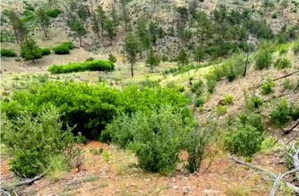 Land for sale in Fremont County, Colorado