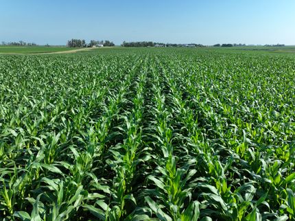 Farm and Ranch for sale in Barnes County, North Dakota
