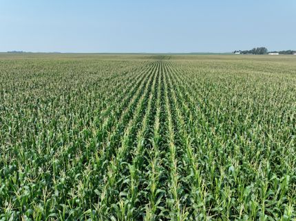 Farm and Ranch for sale in Wells County, North Dakota