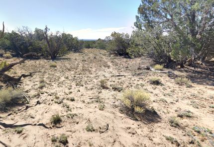 Undeveloped Land for sale in Apache County, Arizona