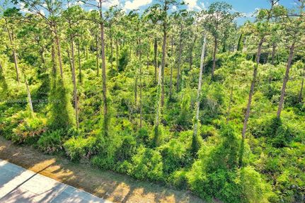 Timberland Property for sale in Lee County, Florida