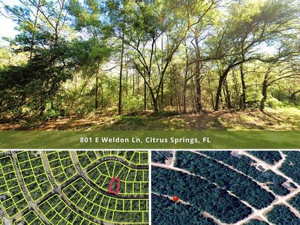 Timberland Property for sale in Citrus County, Florida