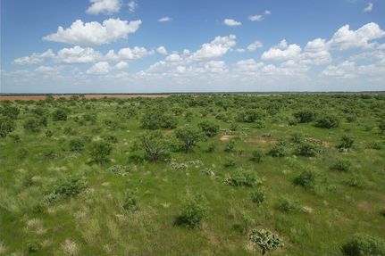 Timberland Property for sale in Jones County, Texas