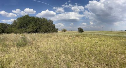 Undeveloped Land for sale in Jones County, Texas