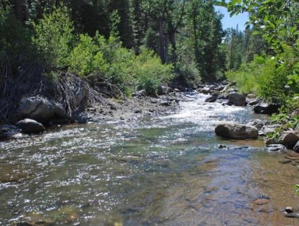 Farm and Ranch for sale in Alpine County, California