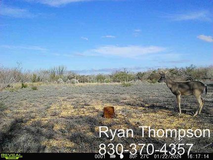Timberland Property for sale in Duval County, Texas