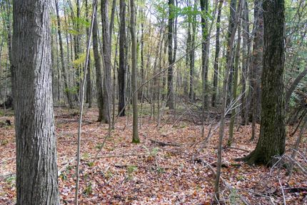 Hunting Property for sale in Taylor County, Wisconsin