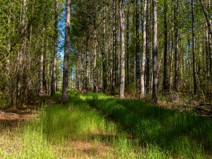 Land for sale in Pickens County, South Carolina