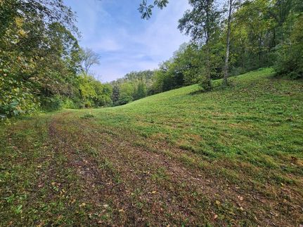 Timberland Property for sale in Jackson County, Tennessee