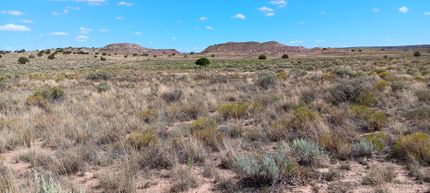 Undeveloped Land for sale in Apache County, Arizona