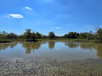 Farm and Ranch for sale in Eastland County, Texas