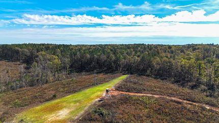 Undeveloped Land for sale in Newton County, Mississippi