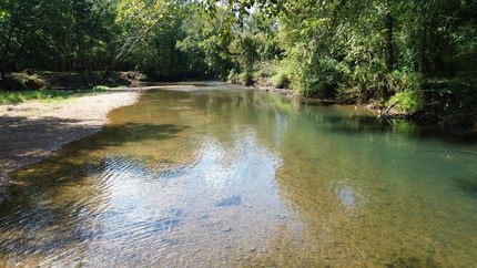 Timberland Property for sale in Lauderdale County, Alabama