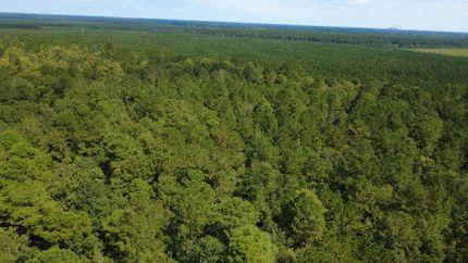 Land for sale in Georgetown County, South Carolina