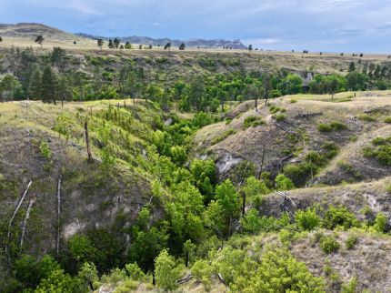 Hunting Property for sale in Dawes County, Nebraska