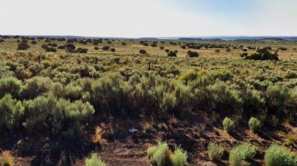 Timberland Property for sale in Apache County, Arizona