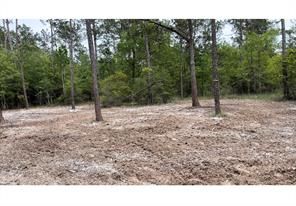 Undeveloped Land for sale in Hardin County, Texas