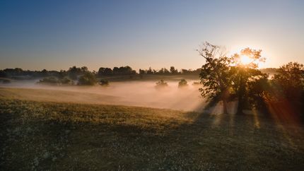 Recreational Property for sale in Obion County, Tennessee