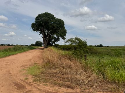 Land for sale in Harper County, Kansas