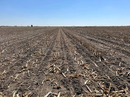 Farm and Ranch for sale in Iroquois County, Illinois
