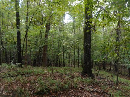 Farm and Ranch for sale in Yazoo County, Mississippi