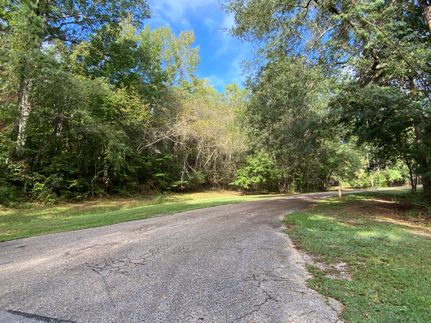 Undeveloped Land for sale in Monroe County, Alabama