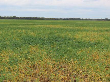 Land for sale in Cass County, North Dakota