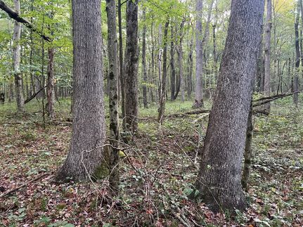 Land for sale in Fayette County, Pennsylvania